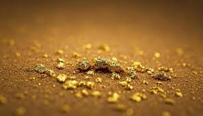 Gold concentrate sample